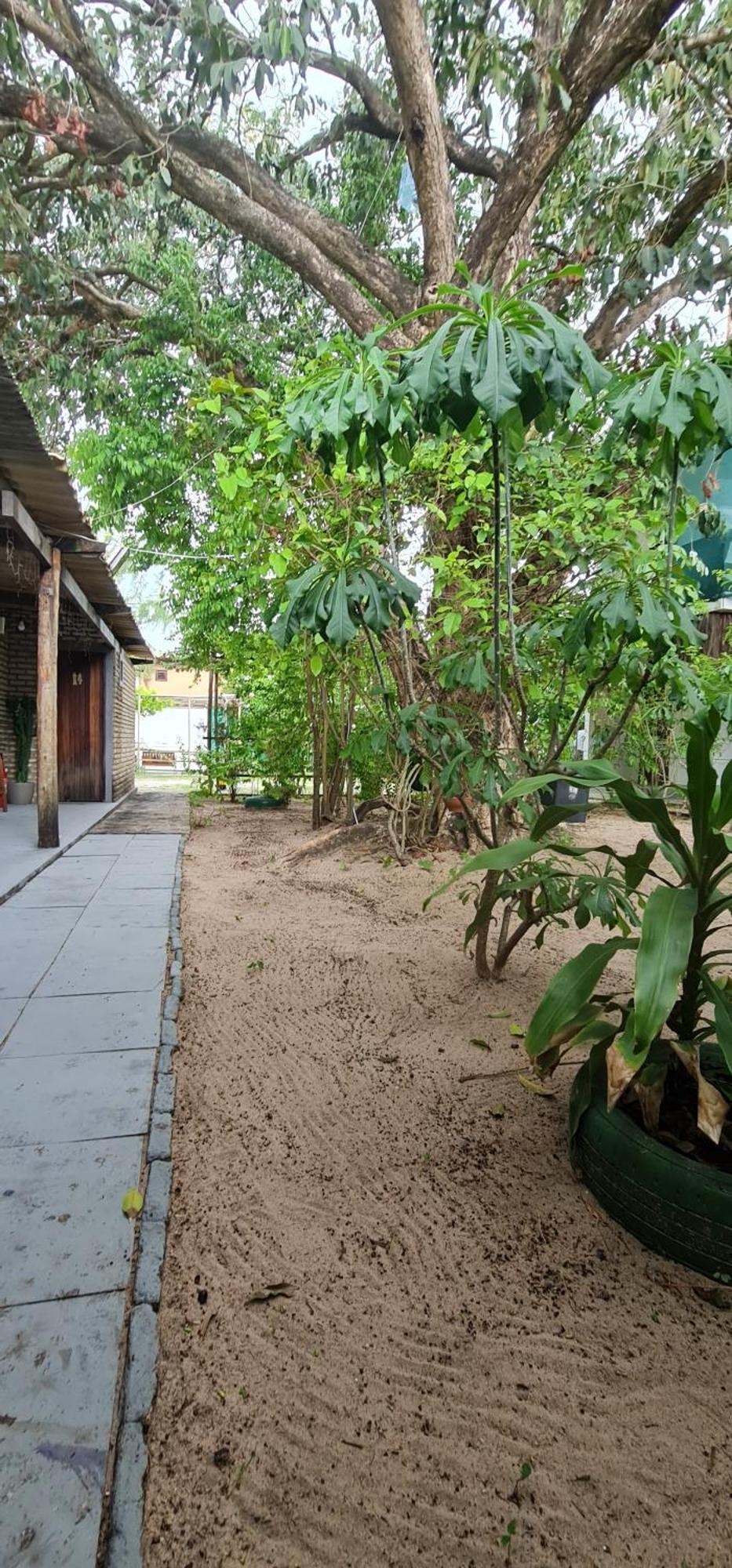 Di Pipa Rooms - Hidromassagem Externa Praia de Pipa Eksteriør billede